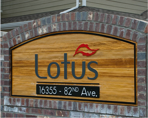 Lotus photo 2