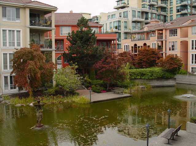 The Lido