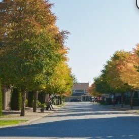 Parc Seville photo 4