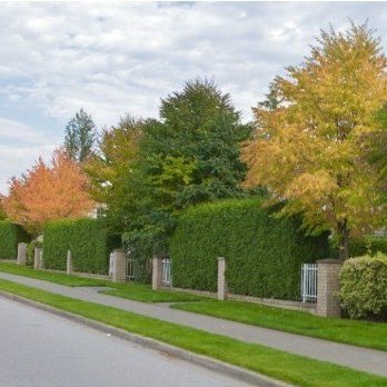 Summerwood photo 4