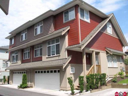 Photo 1 — click to view Greyhawk photo 1