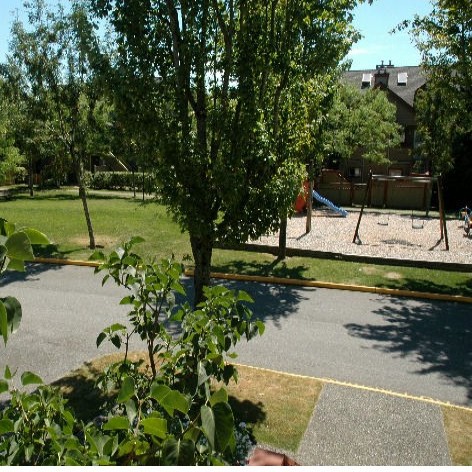 Camus Gardens photo 3