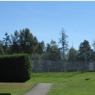Chelsea Court photo 3