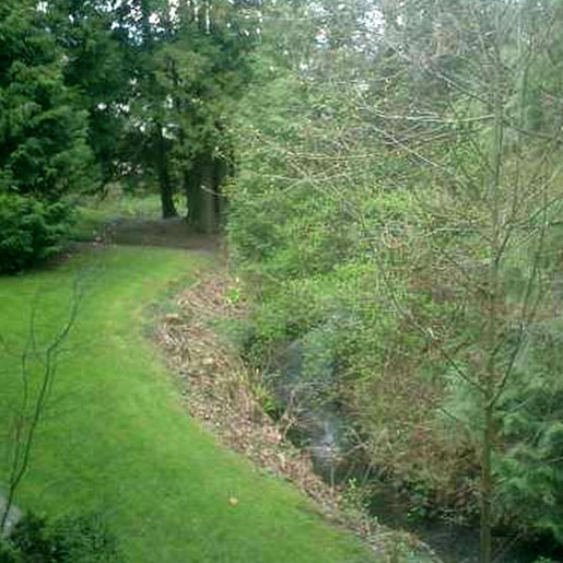 Cedarbrook photo 4