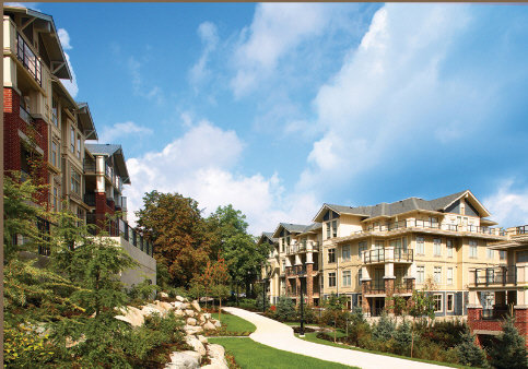 Grove At Victoria Hill