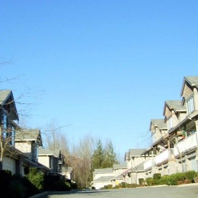 Blue Jay Hills photo 2