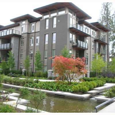 Pathways photo 3