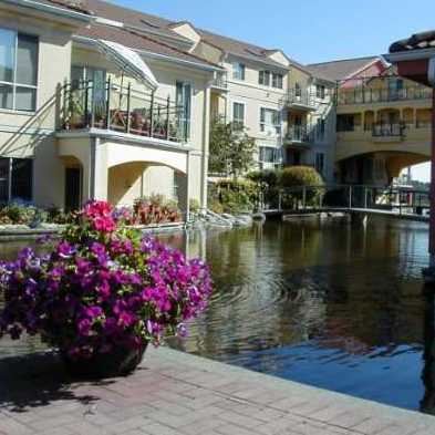 The Rialto photo 2