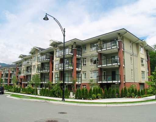 Suter Brook photo 2