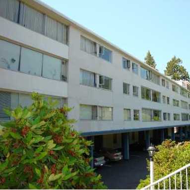 Seaview Gardens photo 4