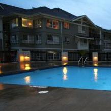 Sandlewood photo 4