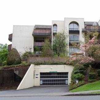 Hillside Terrace photo 2