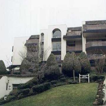Hillside Terrace photo 4