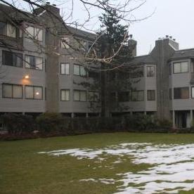 Brookside Court photo 4