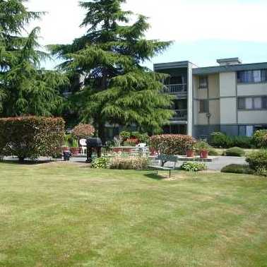 Dolphin Court