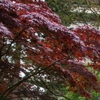 Parkcrest photo 3