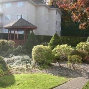 Seven Oaks photo 2