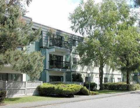 Mayfair Court