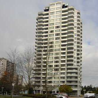 The Evergreen photo 3