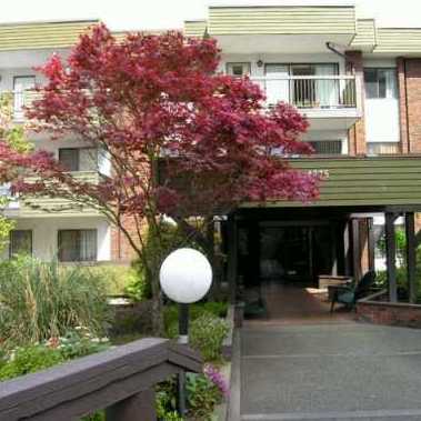 Orchard Square photo 3