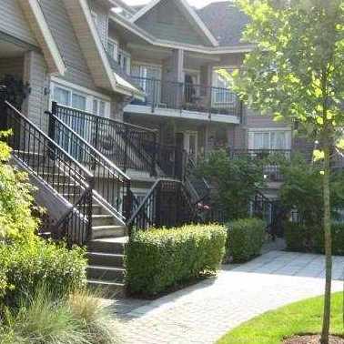 Photo 3 — click to view Trellaine photo 3