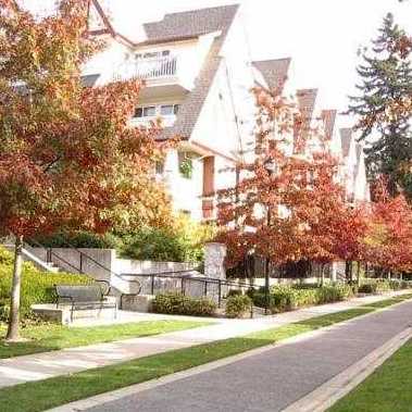 Carmel photo 3
