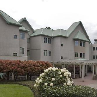 The Courtyards photo 4