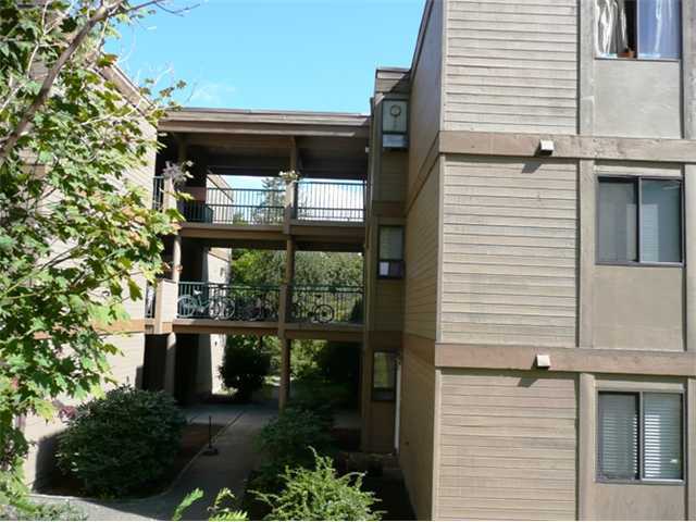 Mountainwood