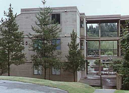 Mountainwood