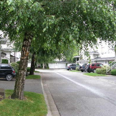 Parkview Place photo 2