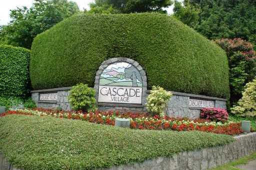 Cascade Village photo 2