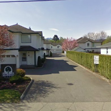 Orchard Lane photo 2