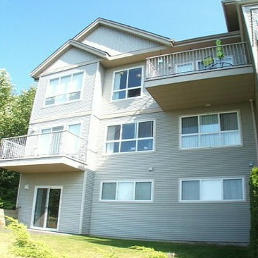 Goldspring Heights photo 3
