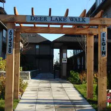 Deer Lake Walk photo 3