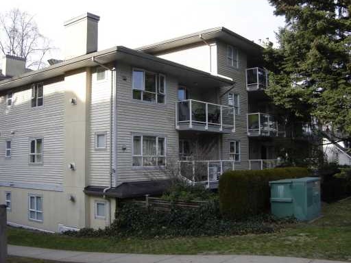 Cottonwood Grove