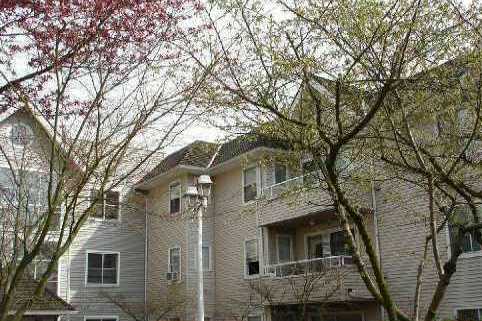 The Courtyard photo 4