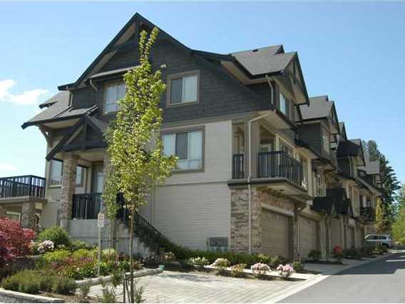 Whitetail Lane photo 3