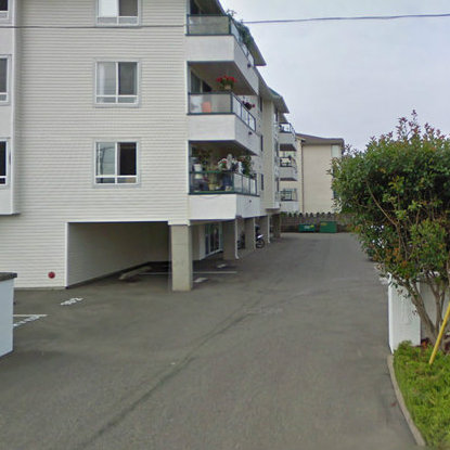 Mountain View Terrace photo 2