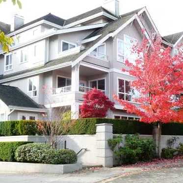 The Shaughnessy photo 2