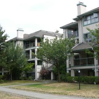 Photo 3 — click to view Somerset Hill photo 3