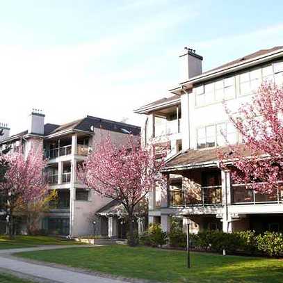 Somerset Hill photo 4