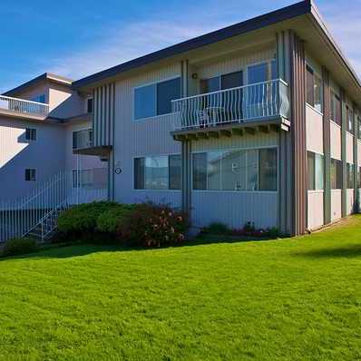 Harbour View Terrace Ltd photo 2