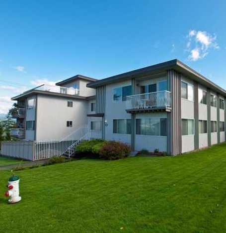 Harbour View Terrace Ltd photo 4
