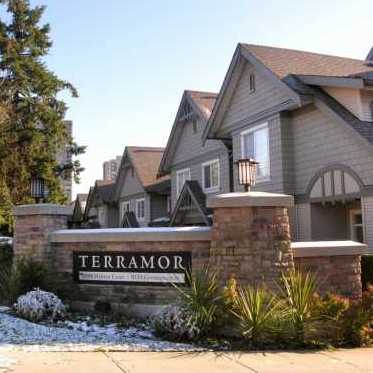Terramor photo 3