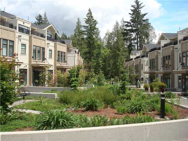 Crescent West photo 4