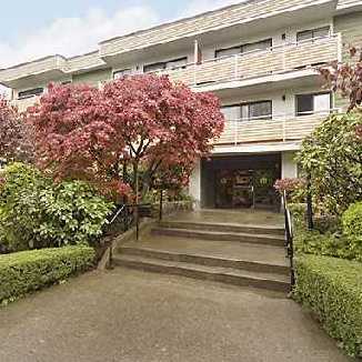 Dogwood Place photo 2