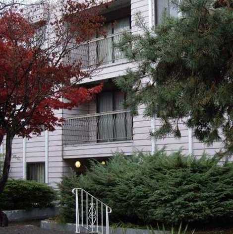Broadhill Manor photo 3