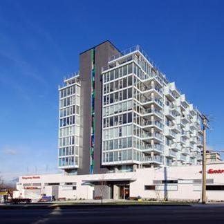Stella photo 4