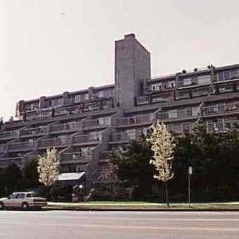 Pacific Terraces photo 3