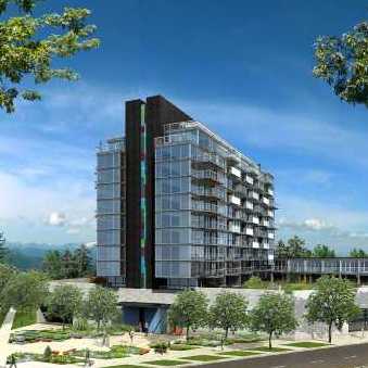 Stella photo 4
